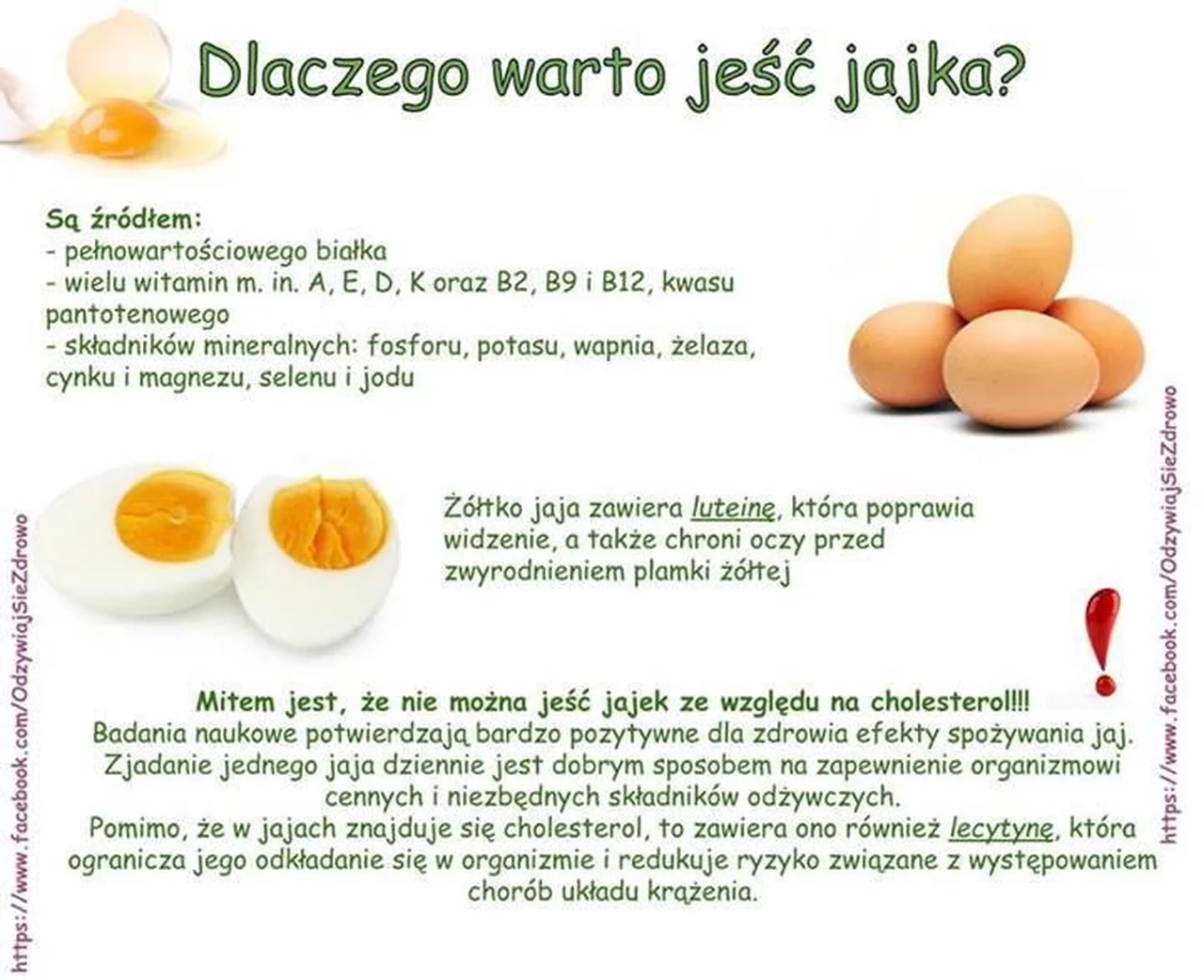 Dlaczego warto jeść jajka