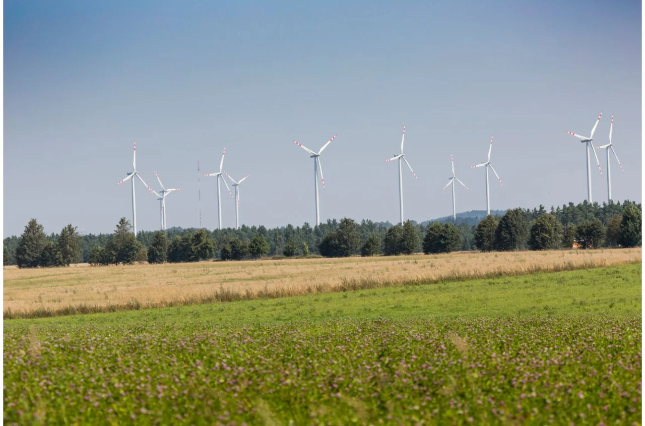 Będziemy płacić mniej za prąd?! Rząd planuje zmiany w energetyce wiatrowej!