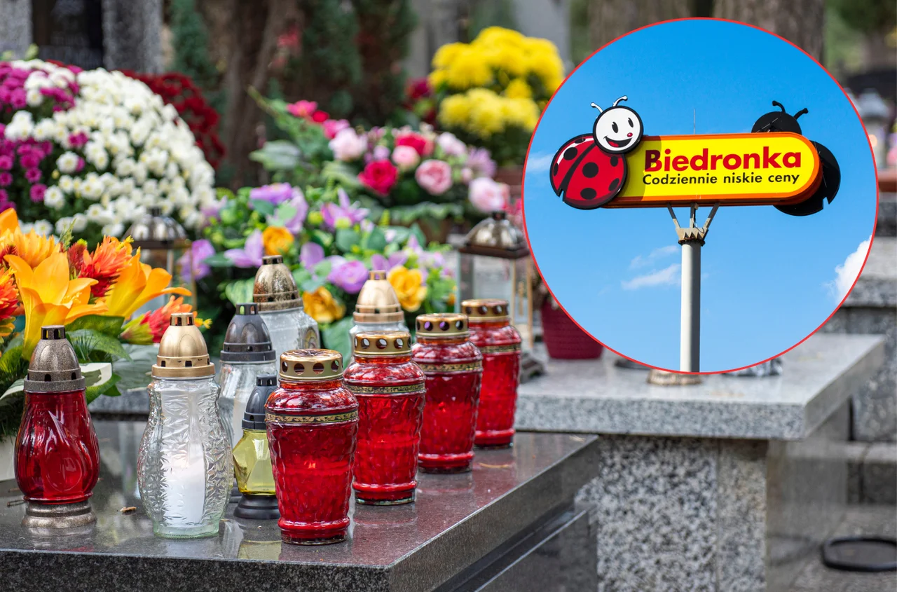 2+1 na chryzantemy i 4+4 na znicze! Biedronka zaskoczyła klientów atrakcyjną ofertą na Wszystkich Świętych