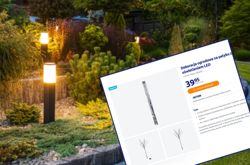 Te nowe lampki LED z Action robią furorę w ogrodach! Bez prądu, małe, a efekt ogromny -  super opcja na święta