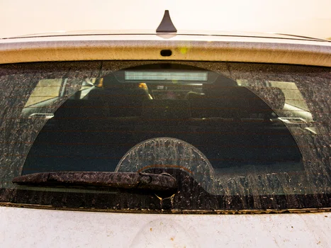 Samochody i parapety pokryte dziwnym pyłem? Już wiadomo co to jest!