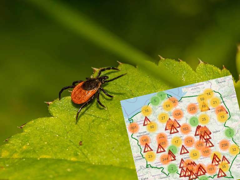 Mapa zagrożeń! Tych miejsc lepiej unikać. NFZ apeluje o ostrożność