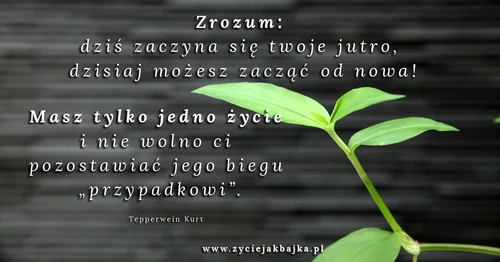 Masz tylko jedno życie