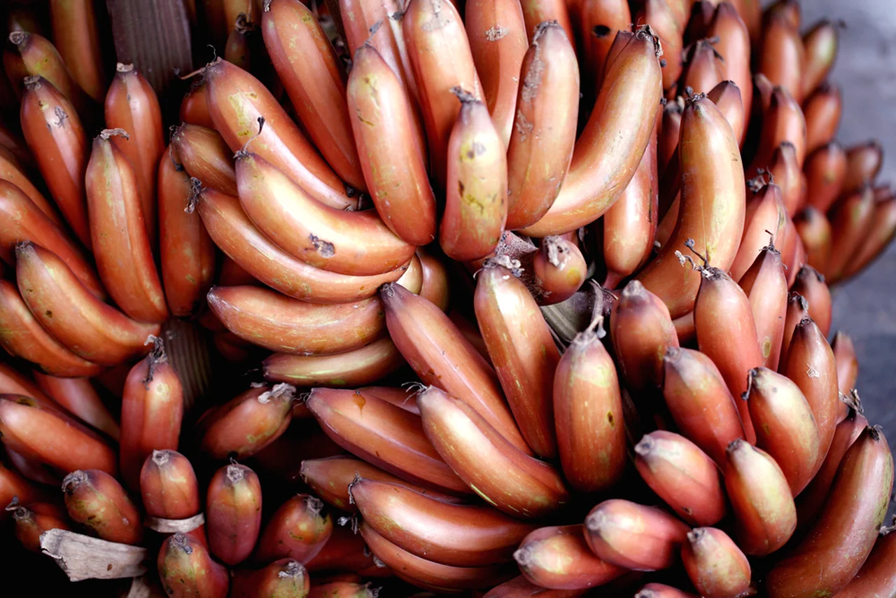 Czerwone banany- dlaczego musisz je spróbować?