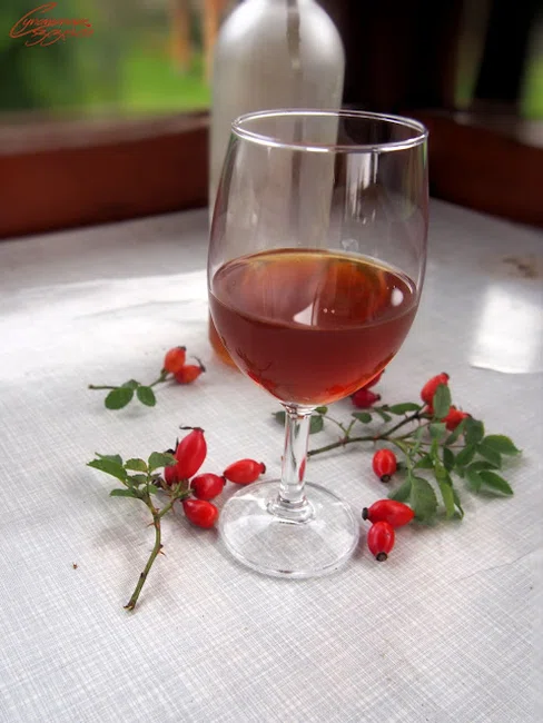 Wino z dzikiej róży