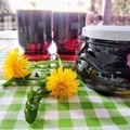 Przepis na syrop z mniszka lekarskiego, czyli „miód z mleczy”