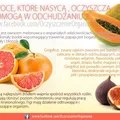 Cała prawda o owcach