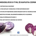 Czerwona kapusta - ciekawostki