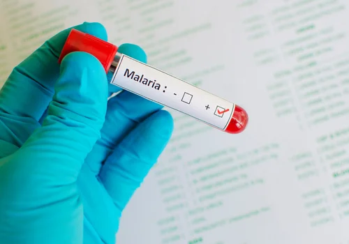 Światowy Dzień Malarii: Walka z Globalnym Zagrożeniem