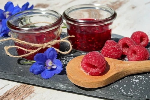 Sok z Malin na Thermomix