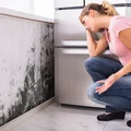 Sprawdzone sposoby na pozbycie się pleśni