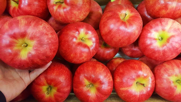 Zdjęcie 11 najlepszych owoców na szybką utratę wagi #1