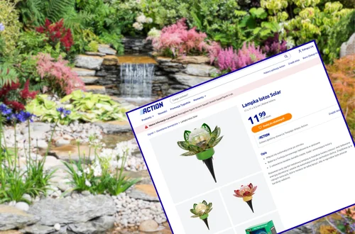 Te lampki solarne z Action za 11 zł bosko odmienią ogród! Kwiaty lotosu w cudnych barwach - zero kabli i czujnik zmierzchu