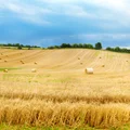 Nowy fundusz rządowy ruszył 1 lipca! Kto może liczyć na rekompensaty?