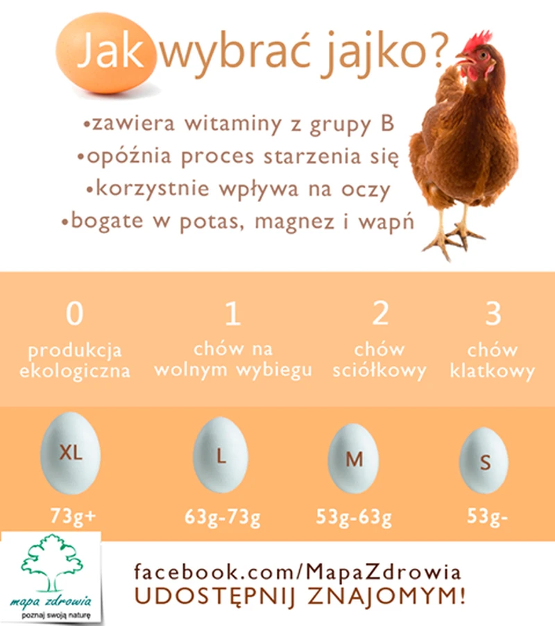 Jak wybrać jajko