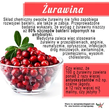 ŻURAWINA - malutkie, czerwone owoce o niesamowitych właściwościach leczniczych !