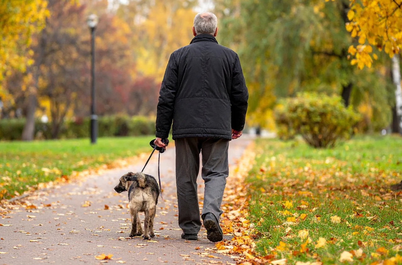 4320 zł emerytury dla seniora w 2026 roku!? ZUS zapowiedział wzrost wielu świadczeń