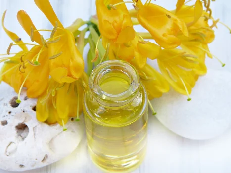 Zalety i zastosowanie olejku jojoba.