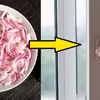 Wystaw pokrojoną cebulę za okno! Uciążliwy problem zniknie