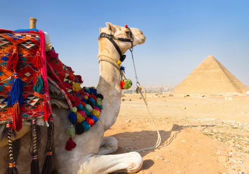 Koniec popularnej atrakcji turystycznej w Egipcie! Co ją zastąpi?