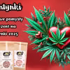 Idealny prezent na walentynki
