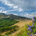 Europejski Dzień Parków Narodowych: Ochrona Przyrody i Zrównoważony Rozwój