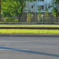 Międzynarodowy Dzień Dzieci Ulicy: Dlaczego jest tak ważny?