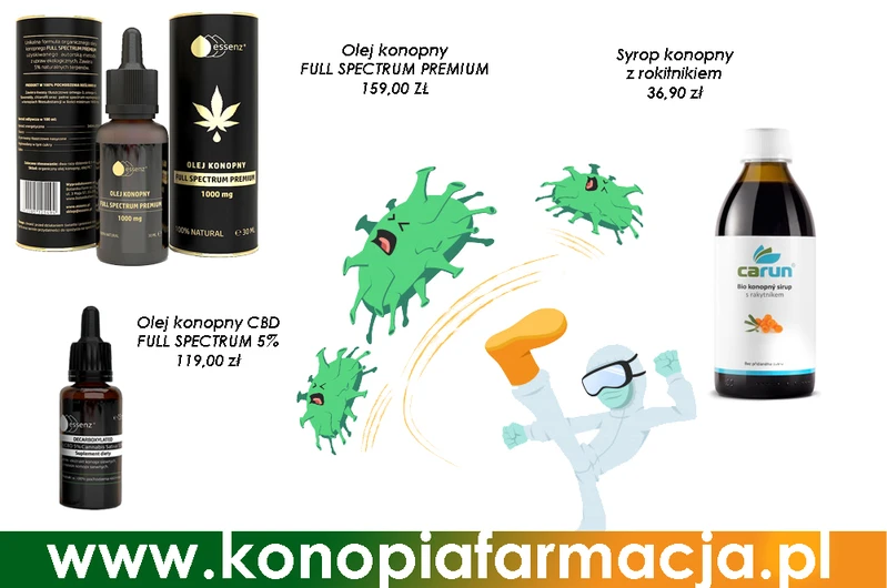 CBD w walce z COVID-19 – co mówią badania