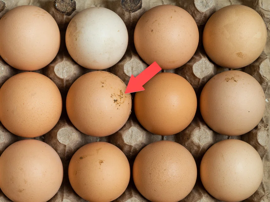 Dlaczego na jajkach ze sklepu są resztki kurzych odchodów?