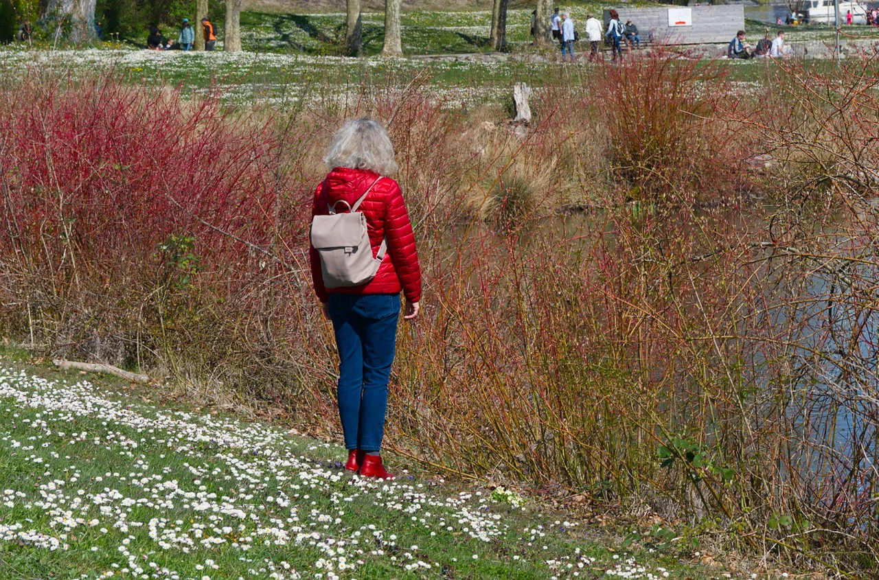 Jaka pogoda na majówkę 2026? IMGW opublikowało prognozę -  mapy Polski zalały się czerwonym kolorem