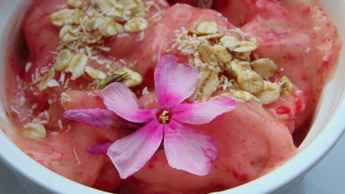 DIETETYCZNY OWOCOWY SORBET