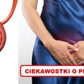 Tego o swoim PĘCHERZU na pewno nie wiedziałaś!