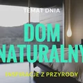 Tęsknisz za naturą? Zobacz jak łatwo możesz wprowadzić ją do swojego domu!