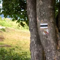 Dlaczego niektóre szlaki są czerwone, a inne żółte? Sprawdź, zanim ruszysz w trasę!