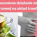 Nieocenione działanie mięty pieprzowej na układ trawienny