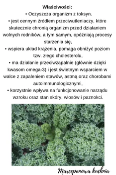 Właściwości zdrowotne jarmużu