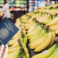 Nie kupisz już banana bez tej informacji! UE wprowadza ważną zmianę na rynku owoców!