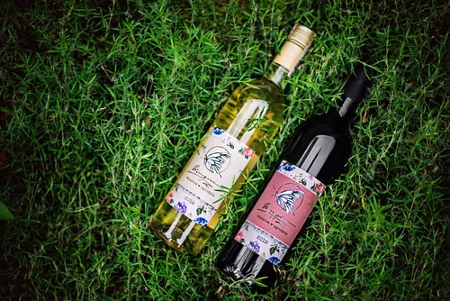 Polskie wino – gdzie się je produkuje i jak smakuje