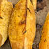 PIECZONE BATATY Z ROZMARYNEM