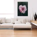 Kwiat róży - nowoczesny obraz do salonu
