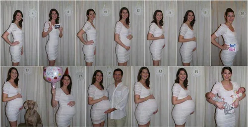 Cała ciąża na jednym zdjęciu
