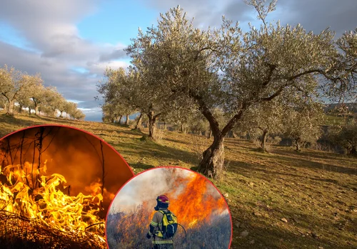 Pożary wymknęły się spod kontroli? Portugalia i Hiszpania walczą z ogniem!