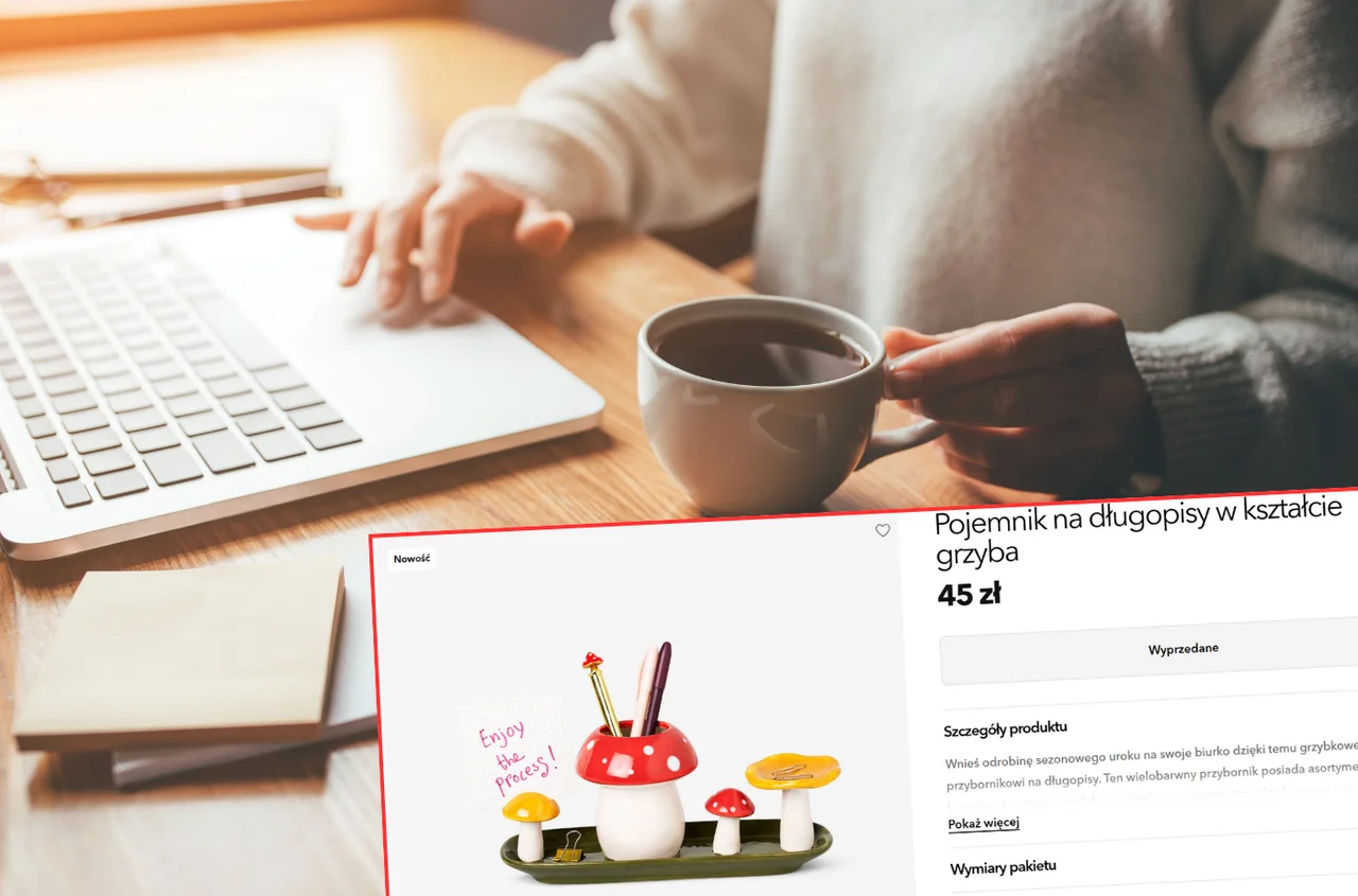 Grzybkowy zawrót głowy na Twoim biurku! Ten przybornik za 45 zł to hit dla fanów jesiennego klimatu!