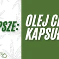 Co jest lepsze - olej CBD czy kapsułki CBD? Porównanie obu form suplementacji