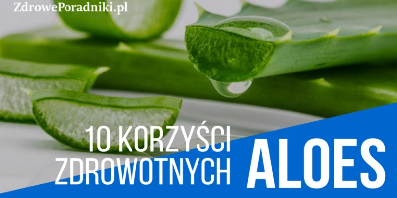 10 najlepszych korzyści z aloesu