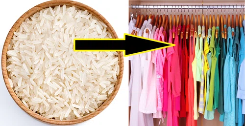 Włóż miskę ryżu do swojej szafy z ubraniami! Efekt cię zaskoczy