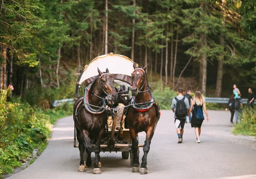To może pokrzyżować plany! Zmiany na szlaku do Morskiego Oka!