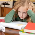 Czy Polska Edukacja Traci Sens? Kontrowersje wokół Nowego Rozporządzenia MEN