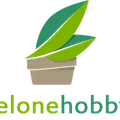 Zielone Hobby