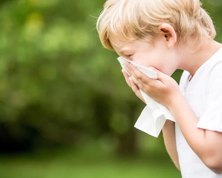 Zdjęcie Jak rozpoznać alergię u dziecka? Jak wygląda leczenie? #1